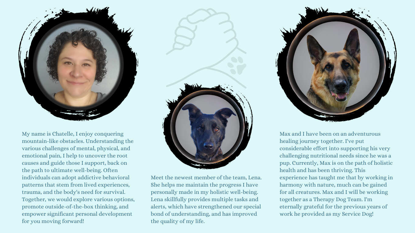 Introduction Page